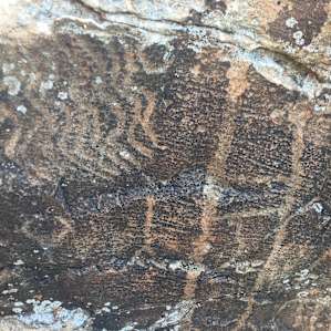 3,000 year old petroglyphs