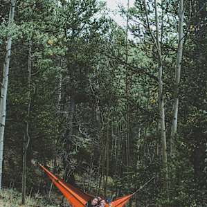 Plenty of trees to string up a hammock at.