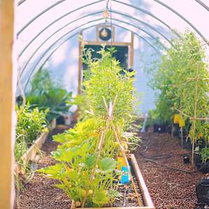 The lush greenhouse that is very special to the host. It also is lit with lights he 3D printed. So many cool details throughout this property.