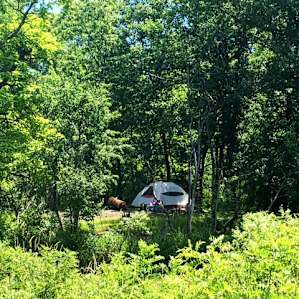 Ottawa IL East Woods / Rainbow Pond