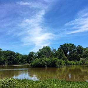 Ottawa IL East Woods / Rainbow Pond