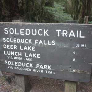 Sol Duc Hot Springs Resort Campground