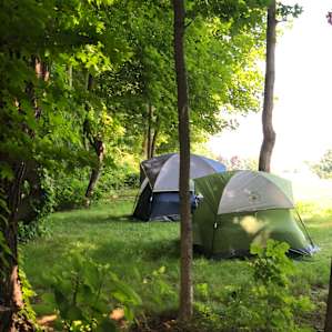 Perfect placement for tents!