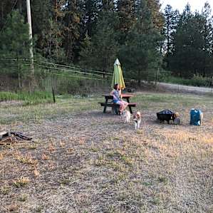 The campsite