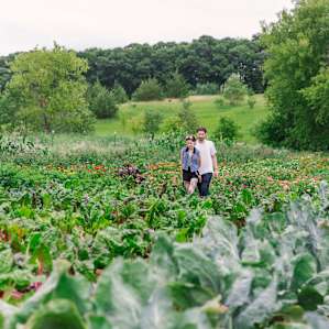 Looking at all the gorgeous veggies and flowers, this garden looked like a painting it was so beautiful.