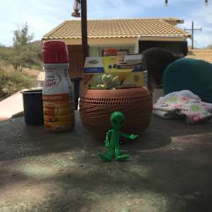 Stay Wild Campground