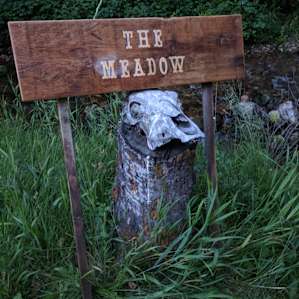 The Cabin in the Meadow