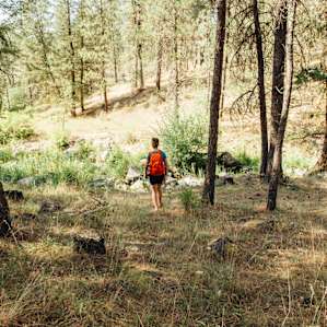Heading down to the creek to explore!