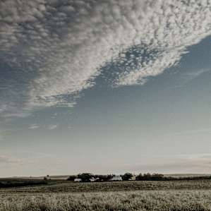 Lazy SY Acres