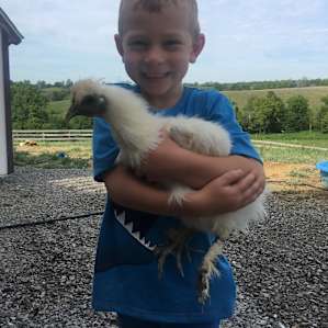 Hidden Lake Farm