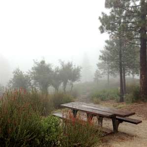 Woke up to an empty, mist filled campground after it rained hard all night. Pretty fun actually.