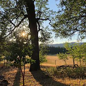 About 30 minutes before sunset