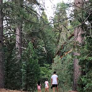 One of the many trails