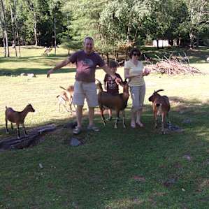 BeaverWood Farm