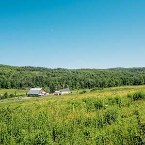 The campsites are uphill from the main house and barn, giving off this spectacular view