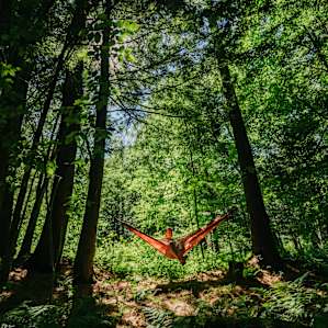 Settled into this spot as happy as could be
(Site #3)