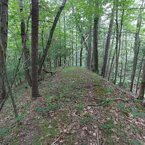 "Mountainside Camp" (Naples, NY)
