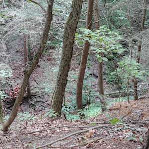 "Mountainside Camp" (Naples, NY)