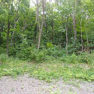 "Mountainside Camp" (Naples, NY)