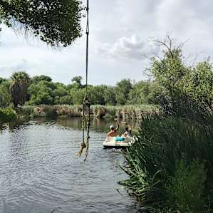 Rope swing and pedal boating!
