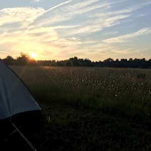 Mountain View Tent Site #1