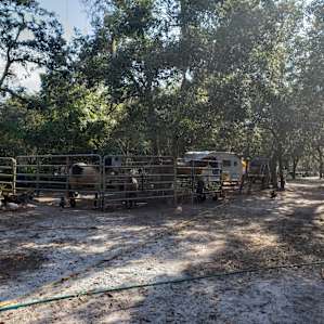 Woodbury Farms