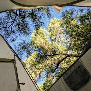 View from the tent