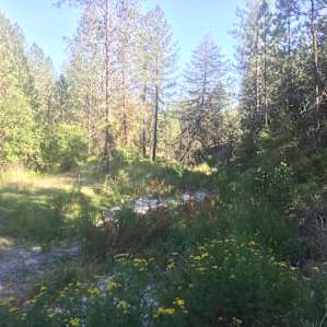 Creek above the falls