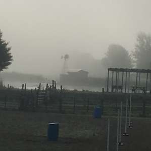 I took this picture early morning. Breath taking