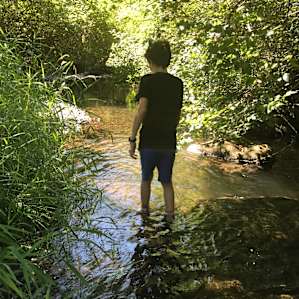 Nature Camp