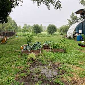 Secluded Urban Farm