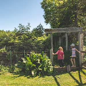 Exploring the chicken coop - a great way to start our visit.