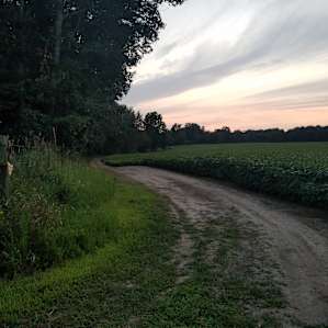 Sunset walk