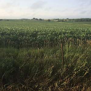 The view from our small camper.