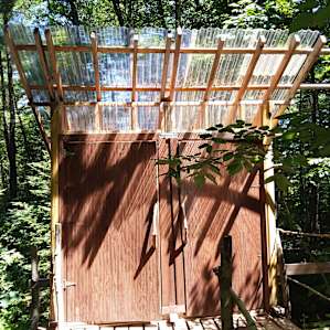 Gateway to the Forest