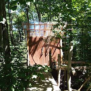 Gateway to the Forest