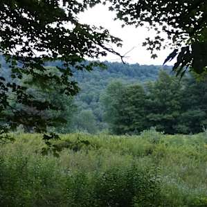 Northern Catskills Malaka Meadows