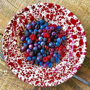 Bicycles & Botanicals-large site
