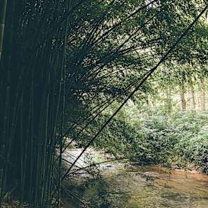 Private Creekside Glamping