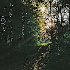 Private Creekside Glamping