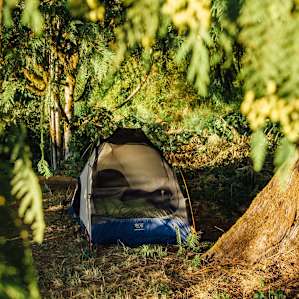 tent forest lodging