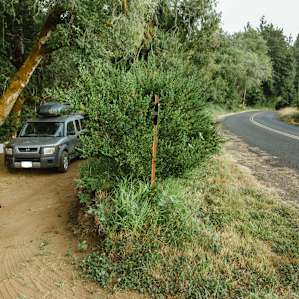 The road is close to this campsite, but it's a quiet road and this row of shrubs adds nice privacy.