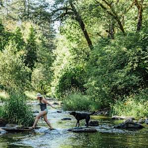 Exploring the creek area