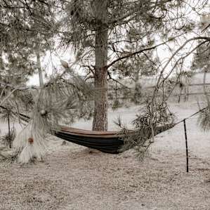 hammock activity