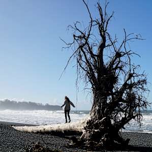 Exploring Rialto Beach, 2 miles from Mora Campground