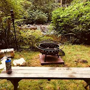 forest picnic table amenity