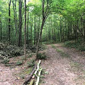 I would name this “Serenity Lane.”