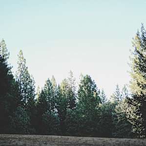 Open field.