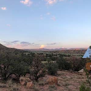 Hound Dog Homestead: The Cabin