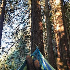Hammocks come with every camp site!